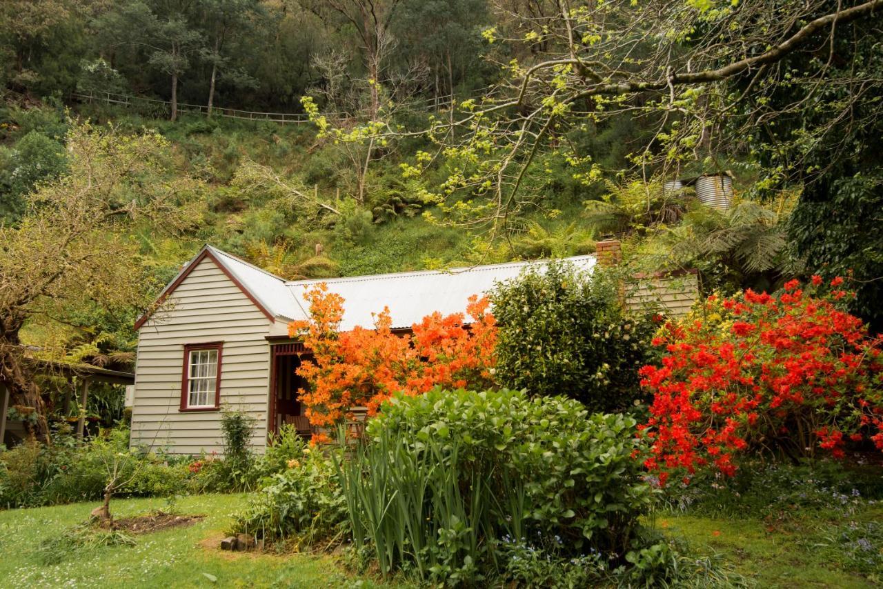 Spetts Cottage Walhalla Exterior photo