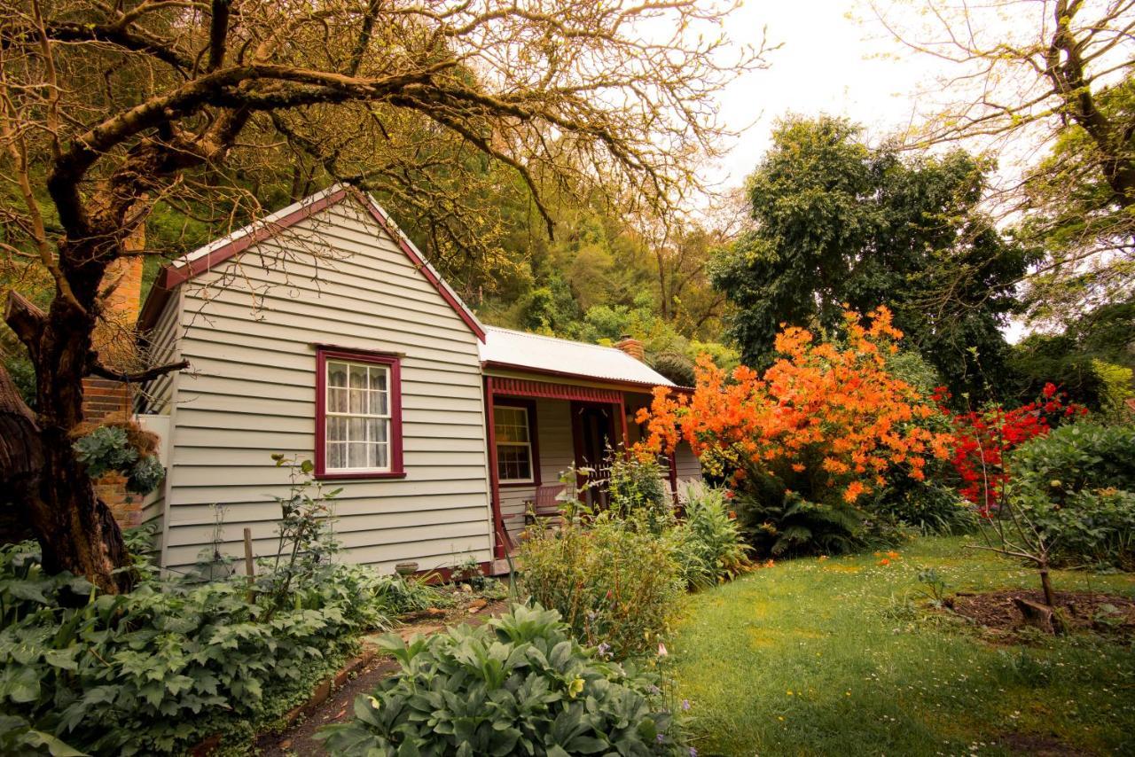 Spetts Cottage Walhalla Exterior photo