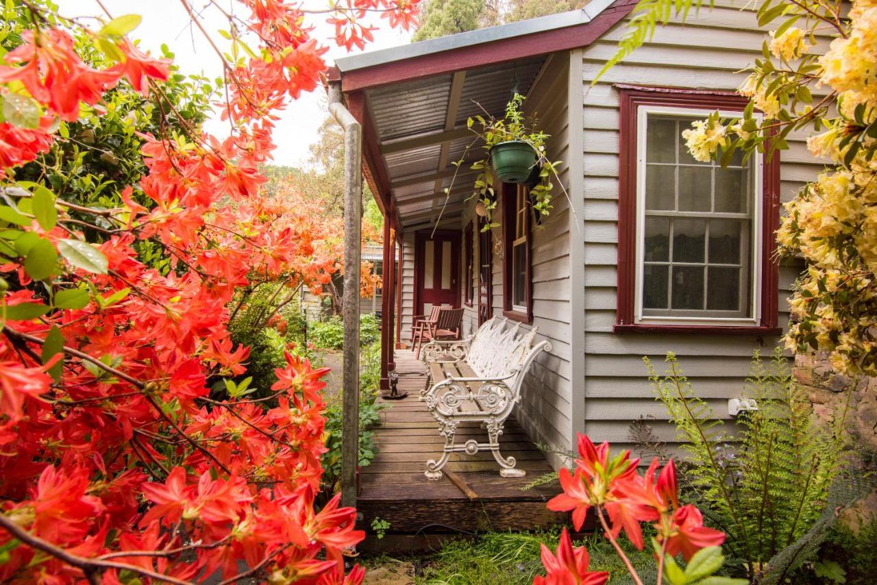 Spetts Cottage Walhalla Exterior photo