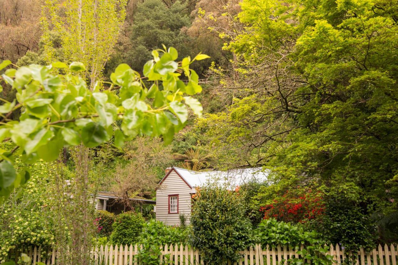 Spetts Cottage Walhalla Exterior photo