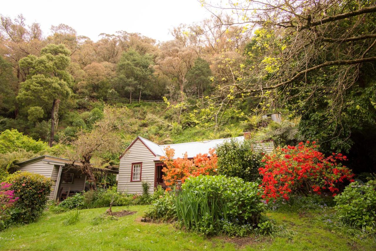 Spetts Cottage Walhalla Exterior photo